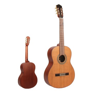 C-39 PD310 39' Panel Bottom Basswood Light Rosewood Acoustic Guitar musical instrument