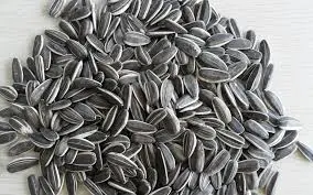 bulk organic sunflower seeds confectionery sunflower seeds home use sunflower seeds