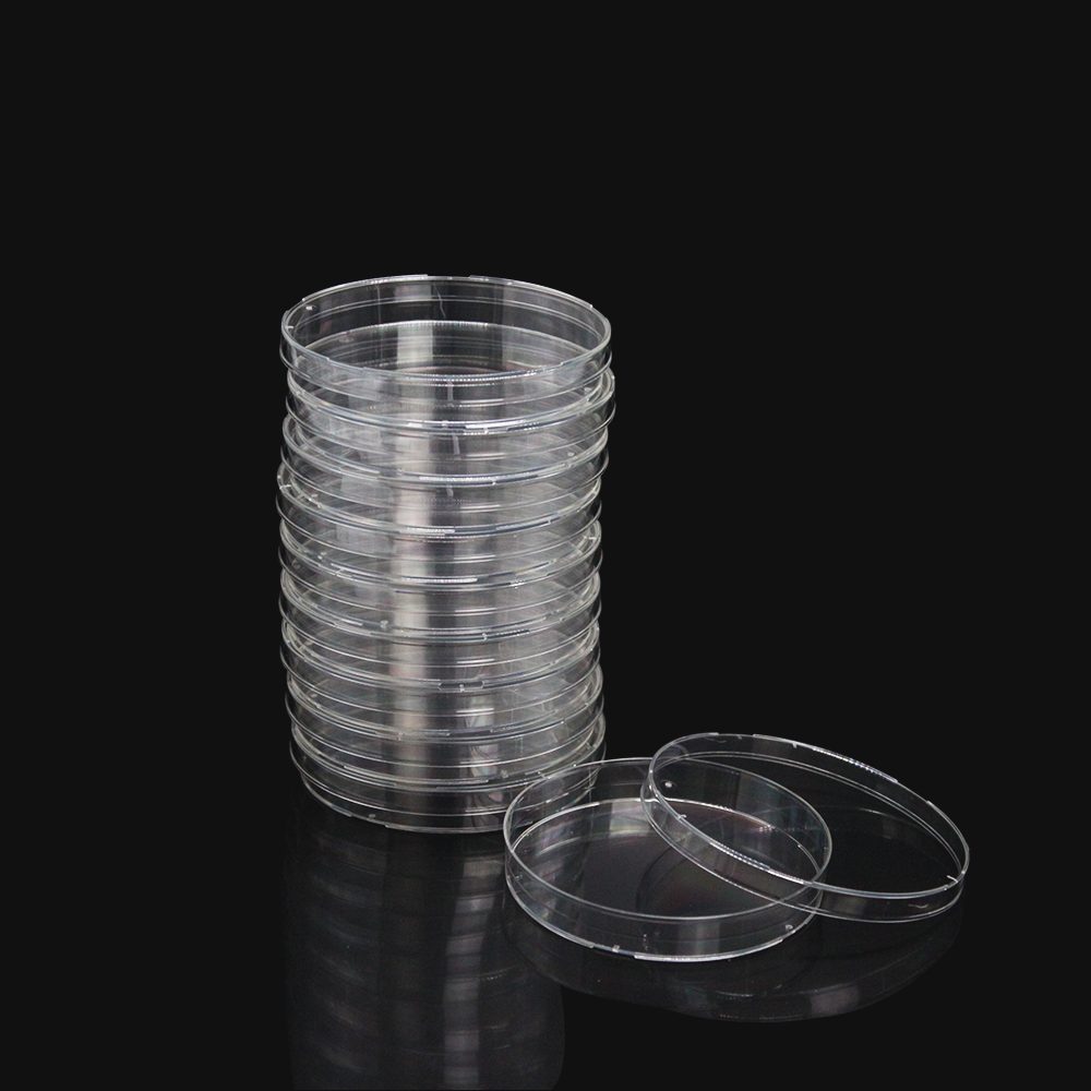 Bacterial culture plate