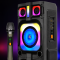 Çift 10 İnç Karaoke Parti Hoparlörü