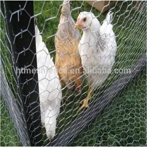 Galvanised Hexagonal wire mesh, chicken wire mesh, poultry wire 1/2 hex mesh chicken wire