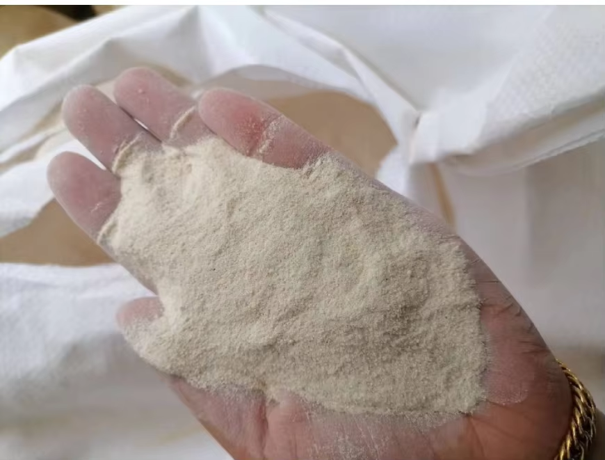 Rice protein Powder 70%