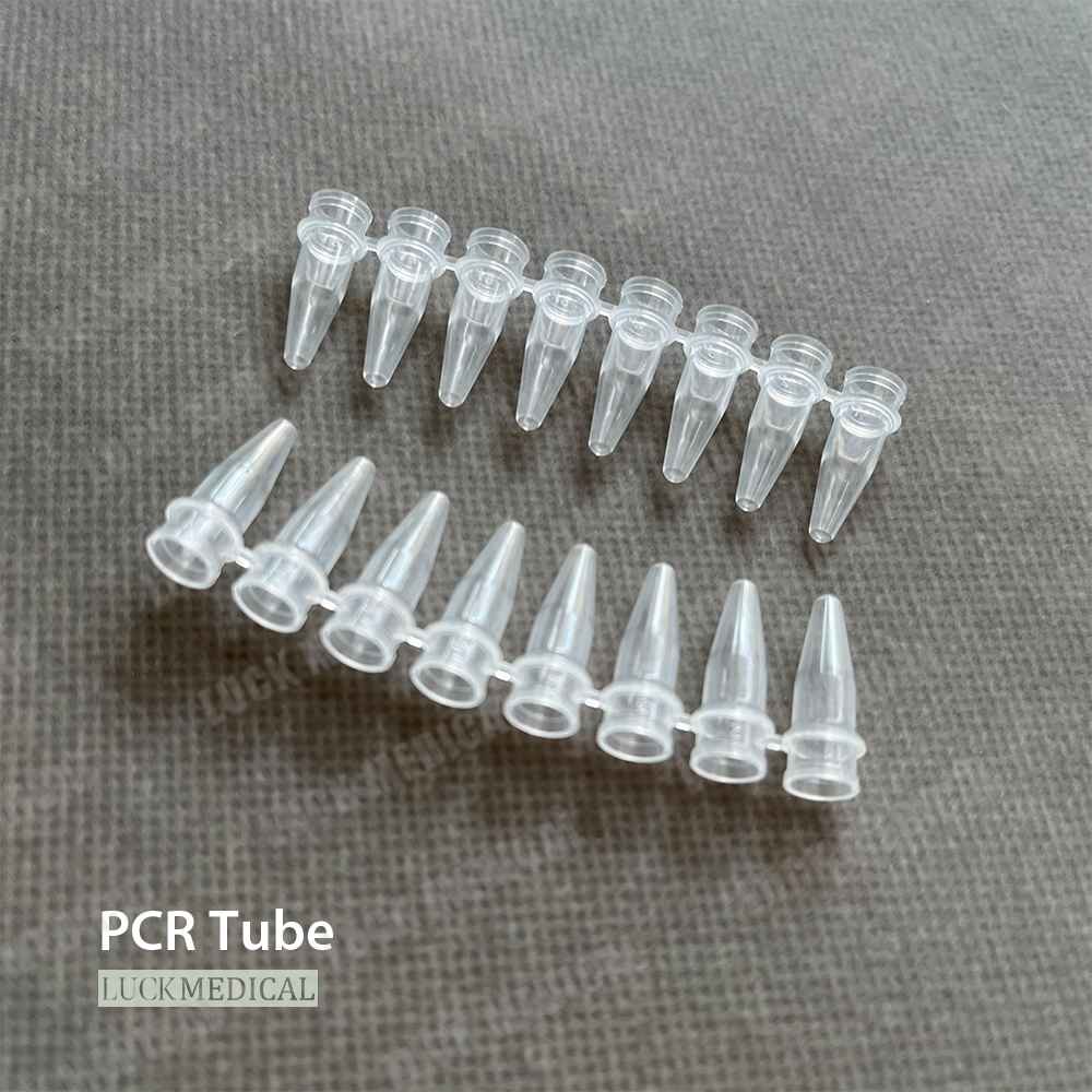 Tube de PCR à 8 bandes avec capuchons attachés