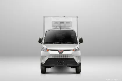 Wuling Bingbao Mini Food Transport Van for Sale