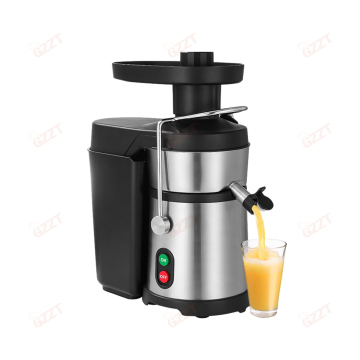 Commercial Ginger Juicer Extractor for Continuous Industrial Juice Extraction