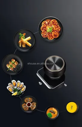 Commercial Dual-Purpose Gas and Electric Cooking Stove: Desktop Embedded Gas and Induction Stove