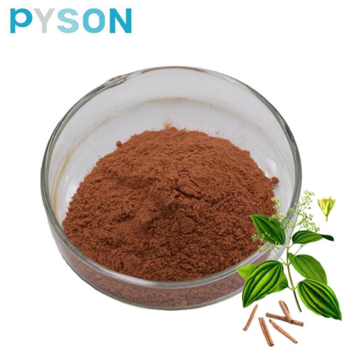 Factory Price Cinnamon Bark Extract Powder 30% Polyphenols