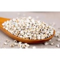 Estratti di polvere di Extract Seed Extract Coix