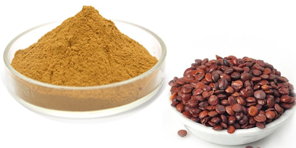 Ziziphi Seed Extract