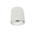 Adjustable Downlight Rotatable LED Surface Mount Spotlight