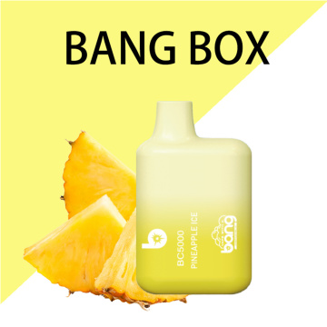 2023 New Bang 5000 Puff Disposable Vape
