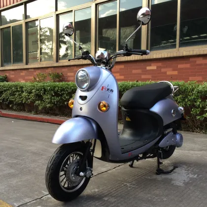 Electric Motorcycle Scooters and Scooters: Two-Wheelers for the Future