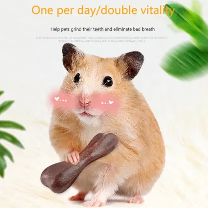 Golden Bear Hamster Molar Stick Snacks & Molar Stone Set - Complete Hamster Supplies