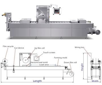 Wanhe DZL-420 Schälte gekochte Eiervakuum-Verpackungsthermoformiermaschine für gefrorene Kunststoff-Meeresfrüchte (Tilapia, Thunfisch, Lachs)