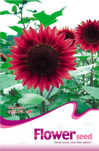 Gardening Flower Seeds Non gmo sunflower seeds for growing