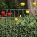 Χονδρική τιμή γαλβανισμένα σύρματα για φράχτη αγροκτήματος