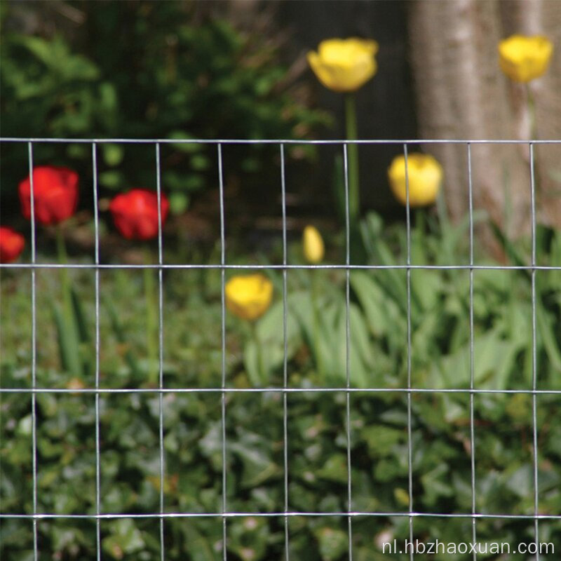 Groothandelsprijs Gegalvaniseerd draadgaas voor boerderijomheining