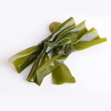 Factory good quality Seaweed Laminaria Knots