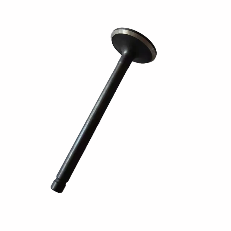 Reliable ME200050 Intake Valve