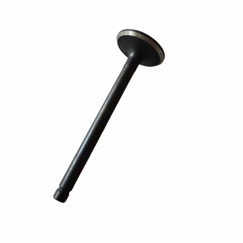 Durable Engine Intake Valve