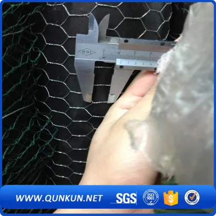 Galvanized Hexagonal Mesh for Raising Chicken