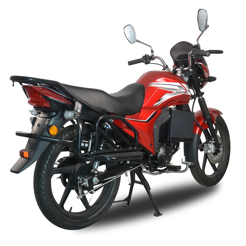 LF Mid-drive electric motorcycle (6)