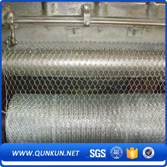 Brightly Hexagonal wire mesh on sale