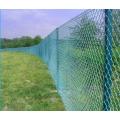 Galv.et PVC Caated Chain Link Clôture