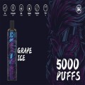 Оригинальная энергия 5000 Puff Augargable Ondosable Vape