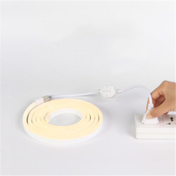 LEDER Kleur No Bulb LED Strip Light