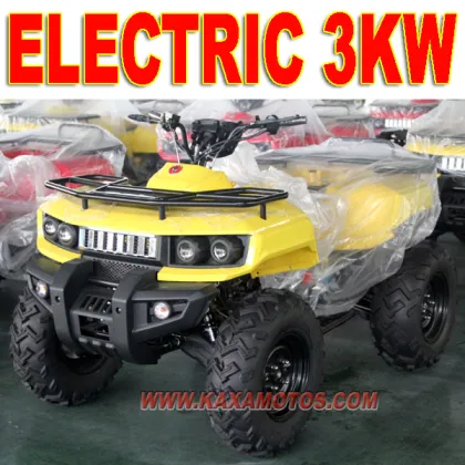 3000W ATV Electric 48V ATV
