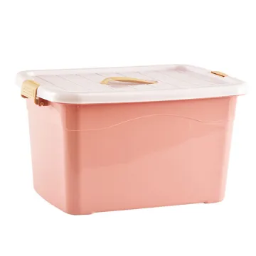 high precision plastic Injection Storage Box mould