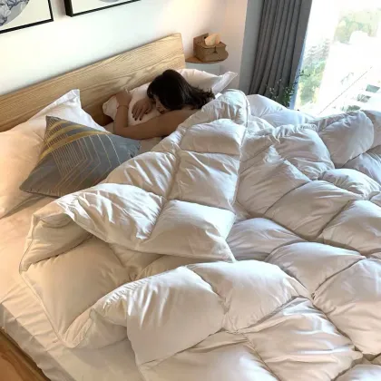 Down Alternative Duvet Insert