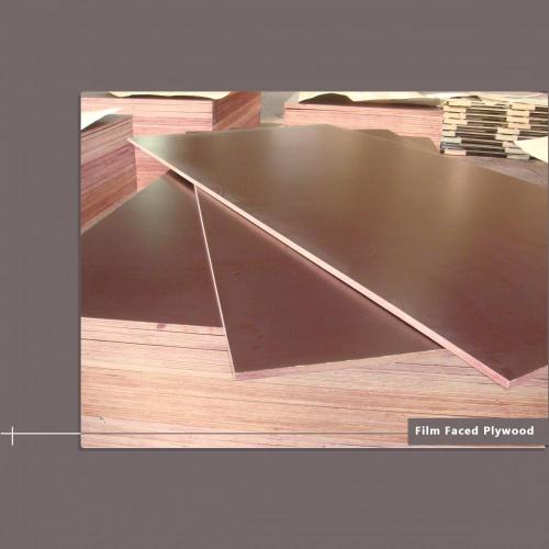 Plywood For Packaging E1