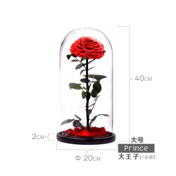 Large Prince Preserved Single Rose Glass Dome