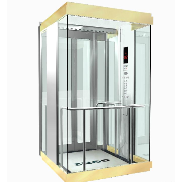 近代的な建物の乗客のパノラマガラスエレベーター