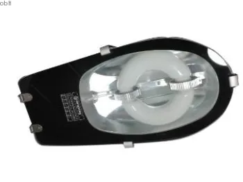 40W-80W ip65 induction street light fittings