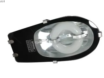 40W-80W ip65 induction street light fittings