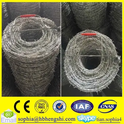 Hebei galvanized barbed wire/barbed wire fence/barbed wire mesh fence                        
                                                                                Supplier's Choice