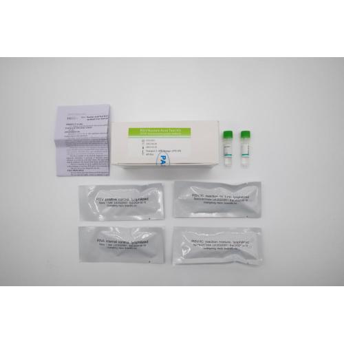 Kit de teste de ácido nucleico do RSV (método da sonda de pCR-fluorescência)