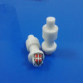 zirconia সিরামিক plunger অন্তরণ যন্ত্রপাতি অংশ