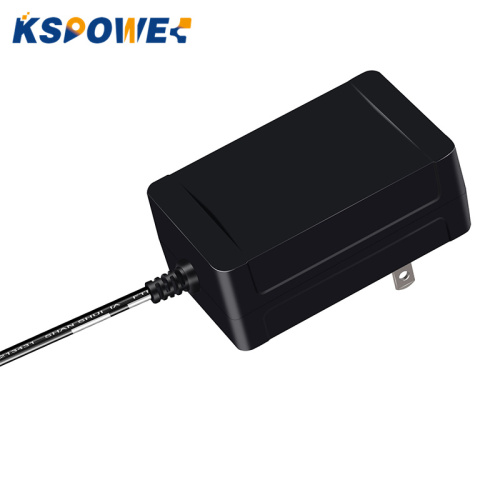 30W wandstekker 120V tot 12V/24V DC -adapter