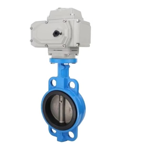 Stainless Steel 2 Inch Butterfly Valve