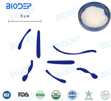 Bifidobacterium breve สุขภาพดีและมีคุณค่าทางโภชนาการ 250b CFU/g