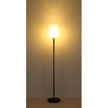 Modern Matte Black Wood Floor Lamp