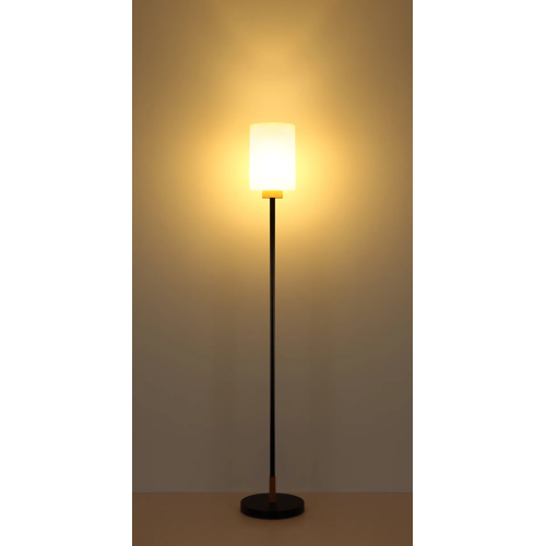 Modern Matte Black Wood Floor Lamp