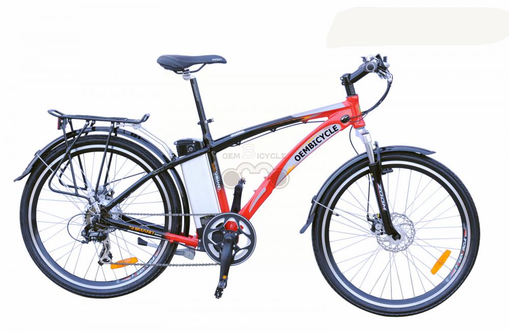 e bike01