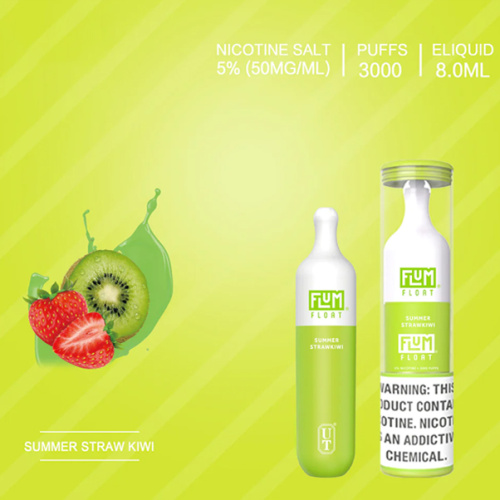 Hot Sale disposable FLUM FLOAT 3000 puffs