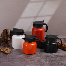 Multi functional portable insulated water bottle