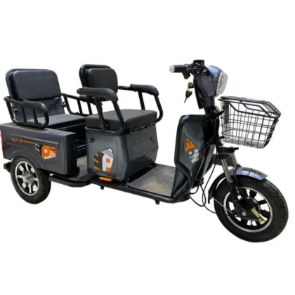 EEC Electric Tricycles: Elderly-Assisted Passenger Scooters